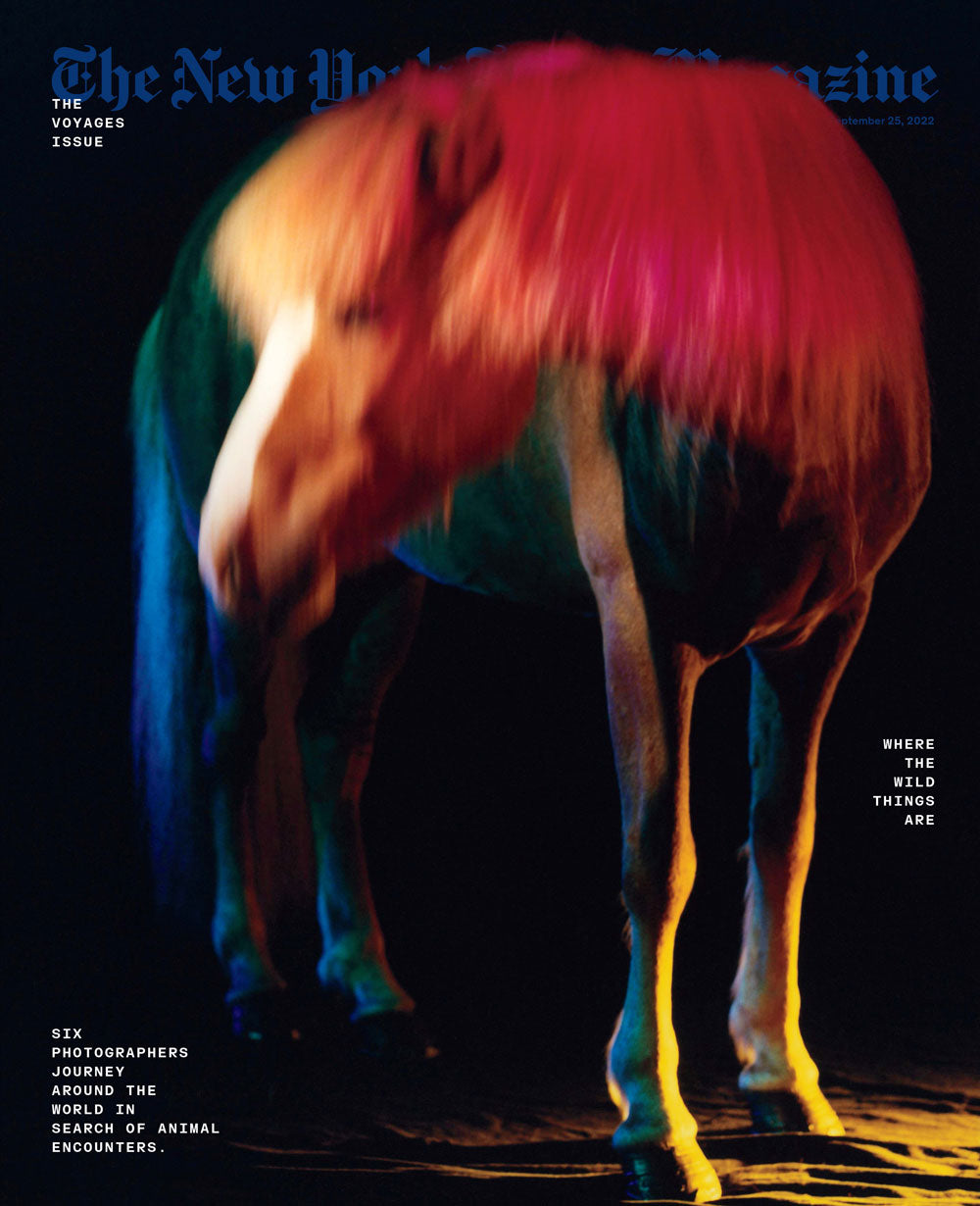 New York Times Magazine Cover Story