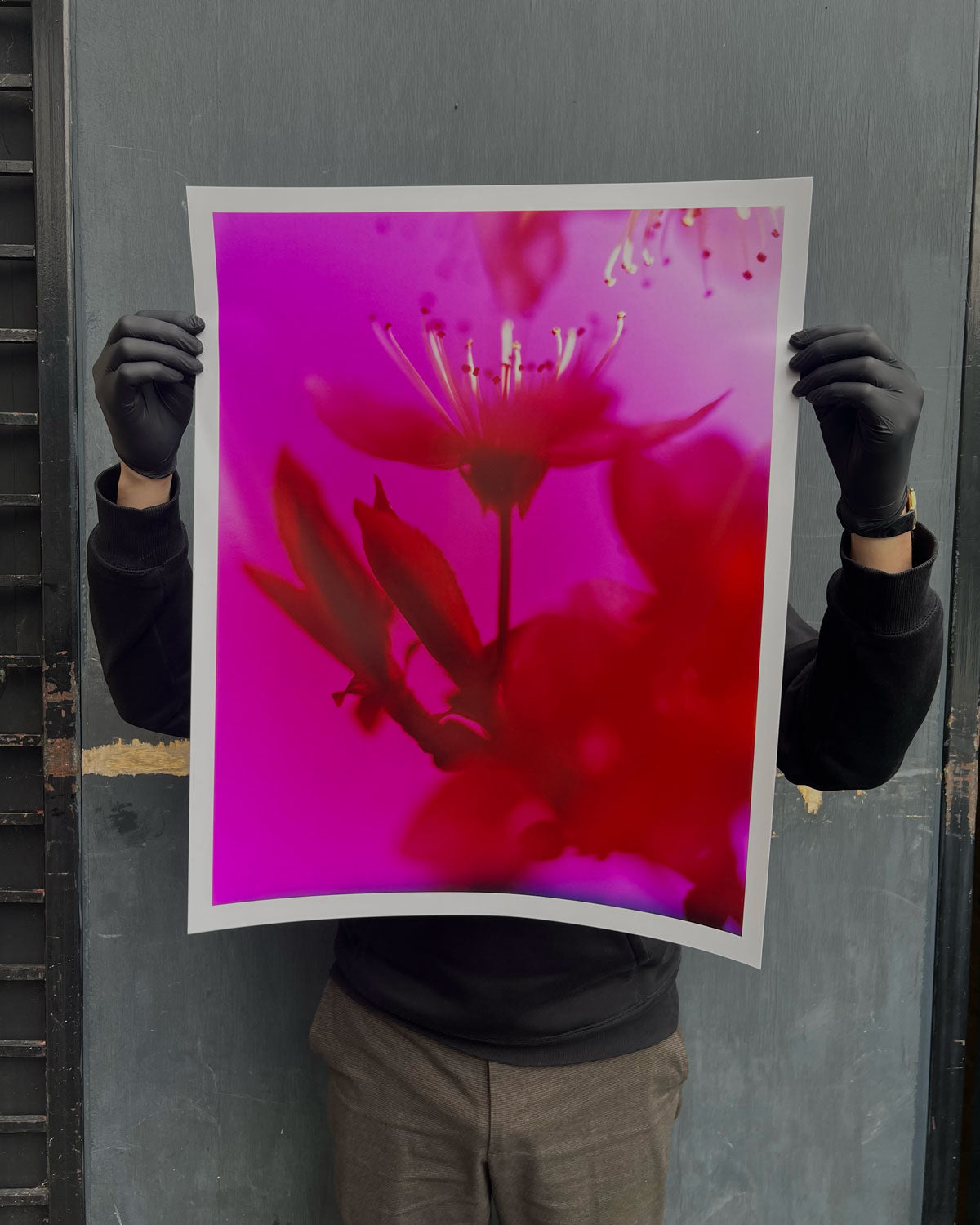 Dream Blossom XXXIV, 2025
