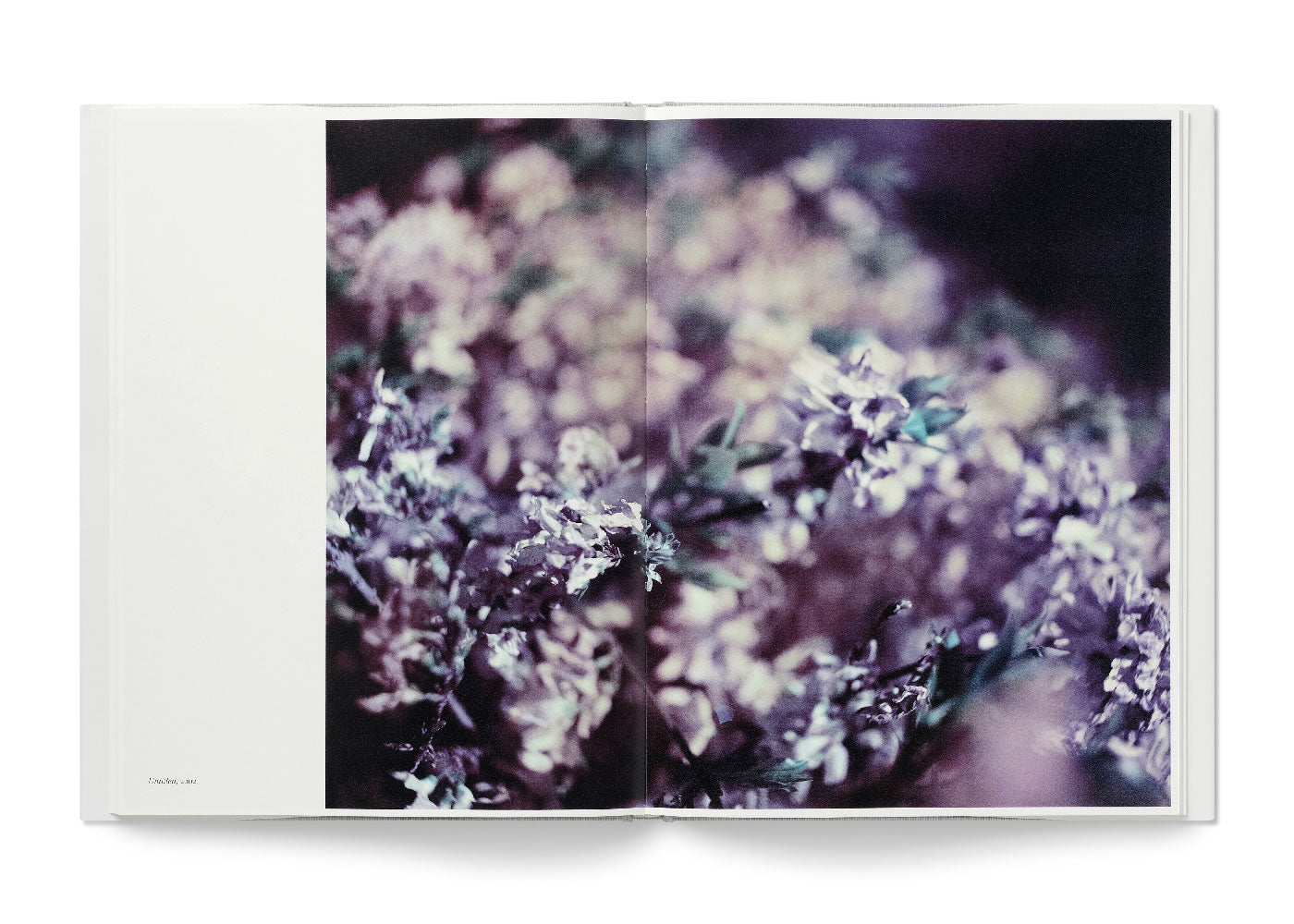 Contemporary Photographers, Gareth McConnell