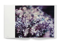 Contemporary Photographers, Gareth McConnell