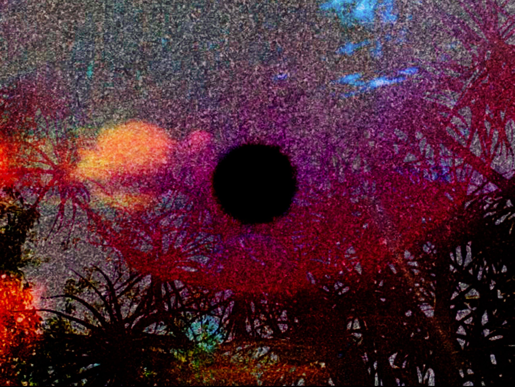 At The Edge Of Paradise, 2025