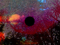 At The Edge Of Paradise, 2025