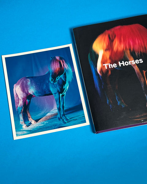 untitled XXVI, 2022 | The Horses
