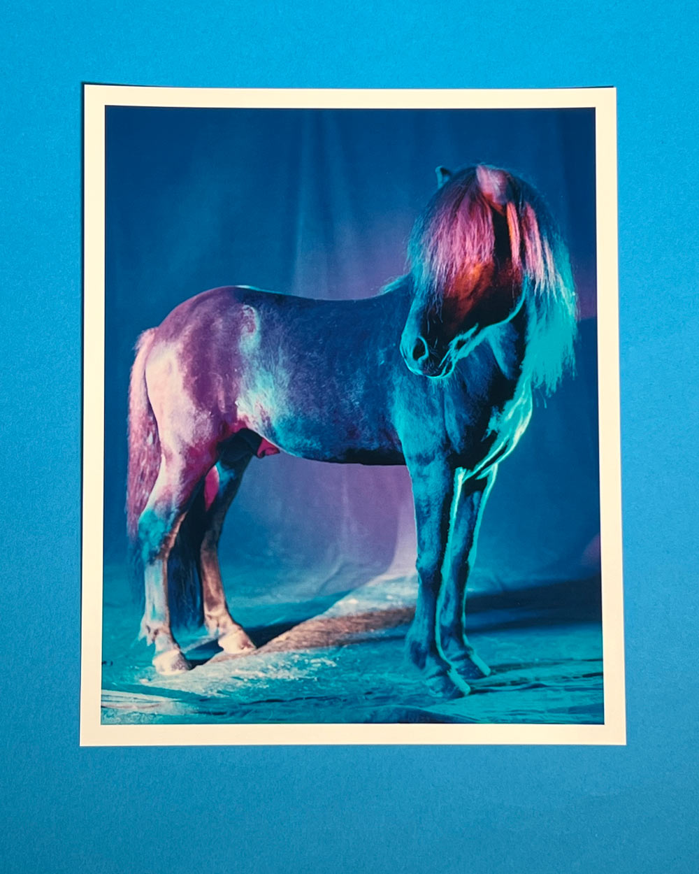 untitled XXVI, 2022 | The Horses