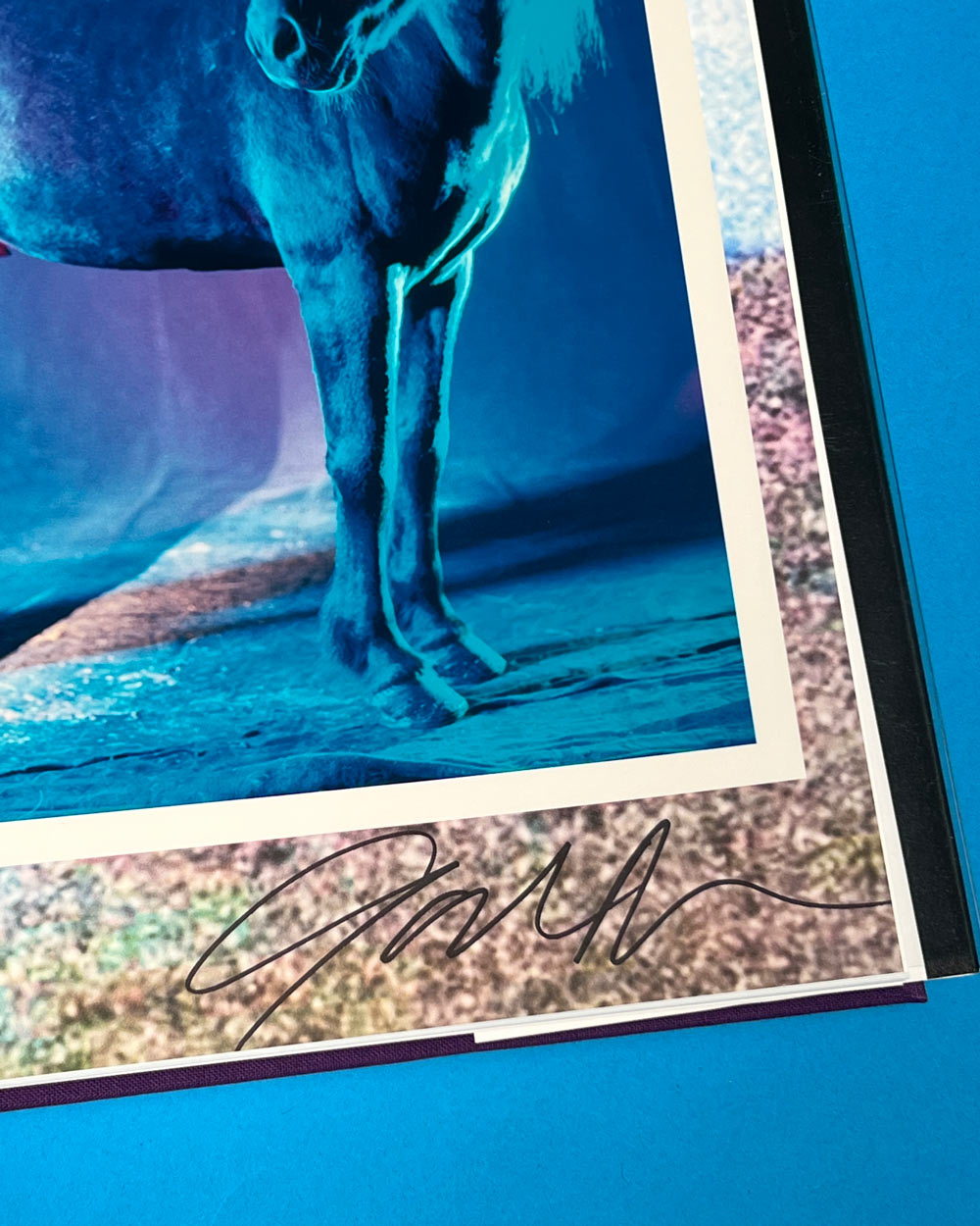 untitled XXVI, 2022 | The Horses