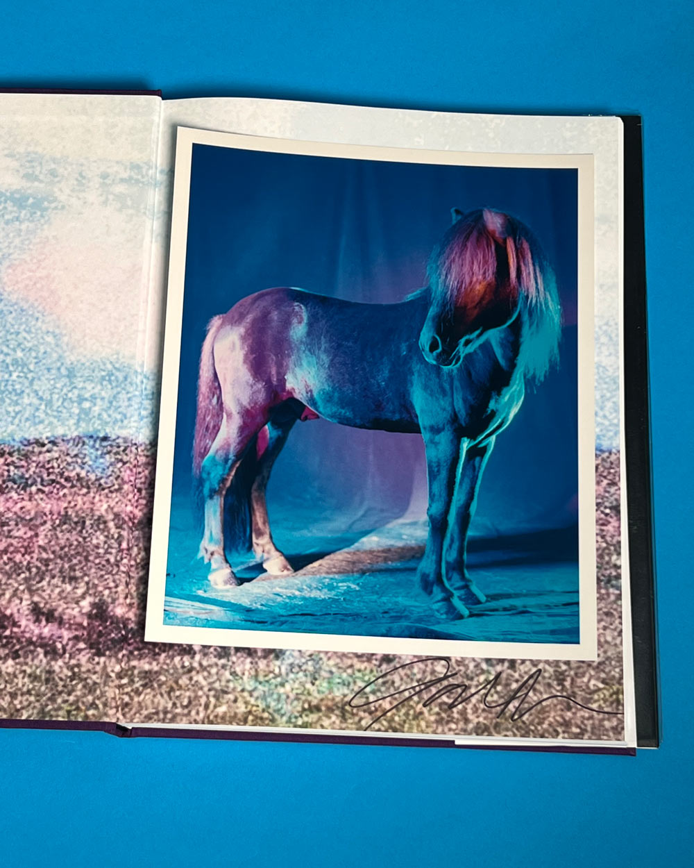 untitled XXVI, 2022 | The Horses