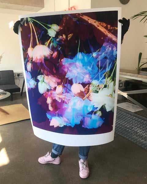 Dream Blossom XII, 2021