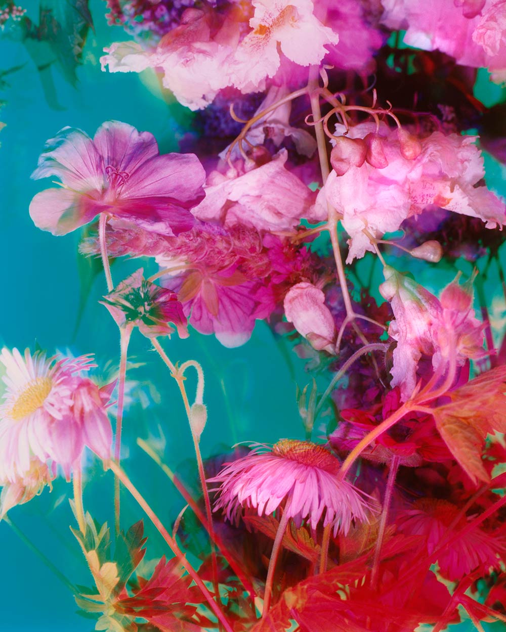 The Brighter The Flowers, The Fiercer The Town. Seen Fifteen