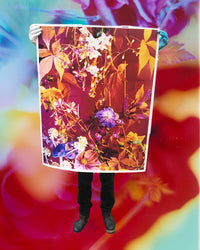 Dream Meadow XXVII, 2021