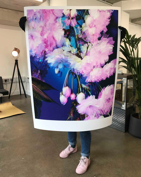 Dream Blossom XIV, 2021