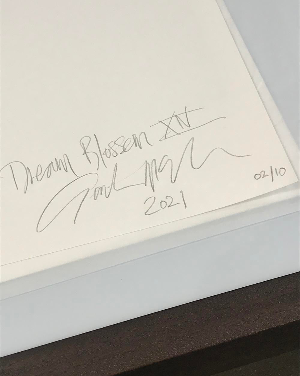 Dream Blossom XIV, 2021