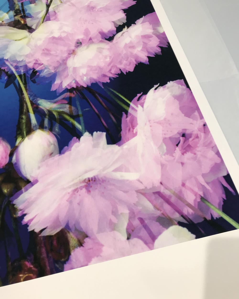Dream Blossom XIV, 2021