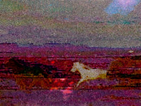 The Horses
