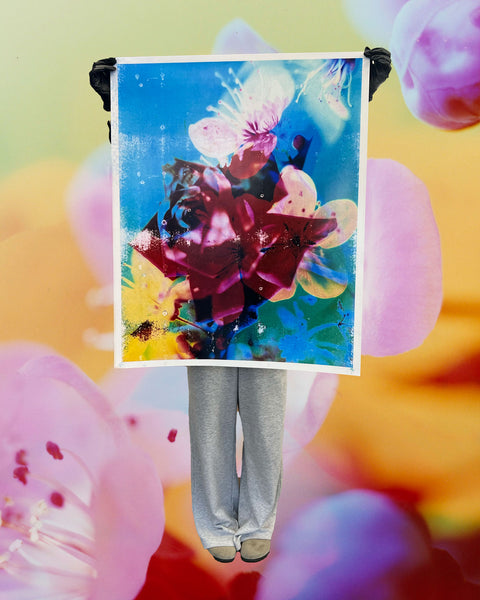 Lazer Blossom, 01, 2025