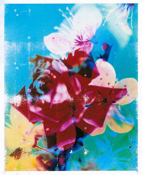 Lazer Blossom, 01, 2025
