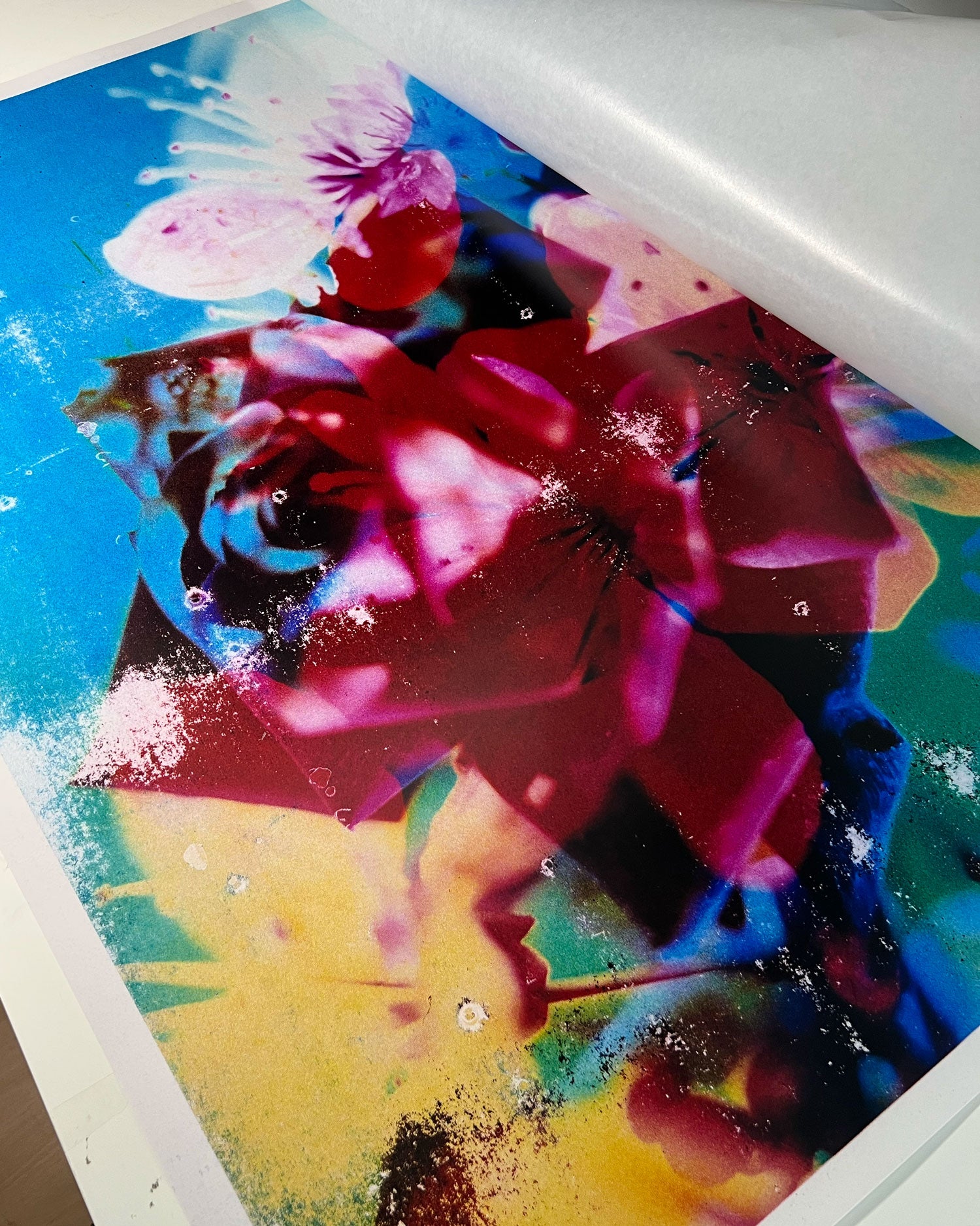Lazer Blossom, 01, 2025