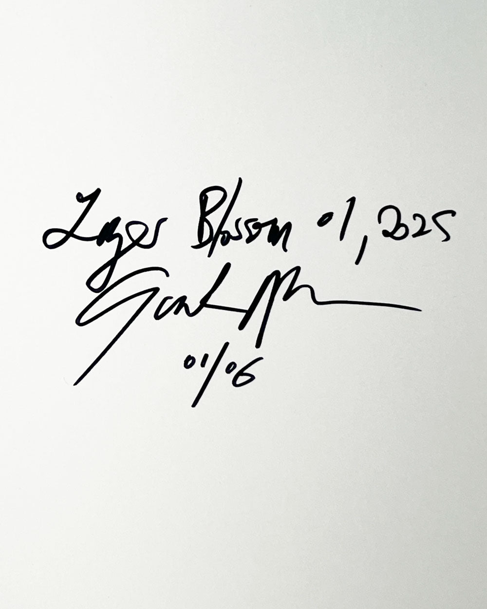 Lazer Blossom, 01, 2025