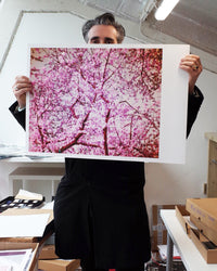 Night Flower (Tokyo IX), (Pink Pixel), 2007