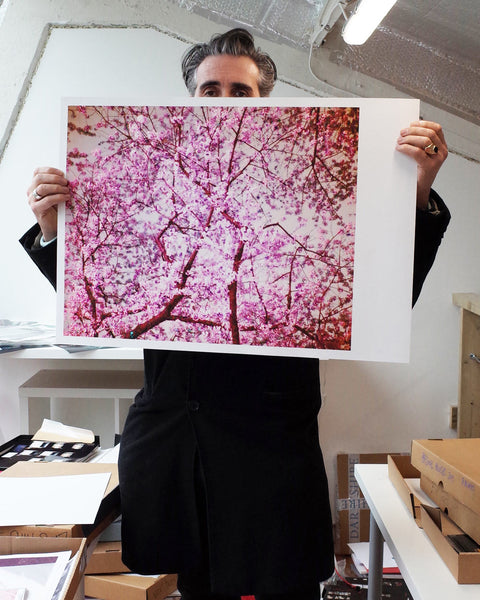 Night Flower (Tokyo IX), (Pink Pixel), 2007