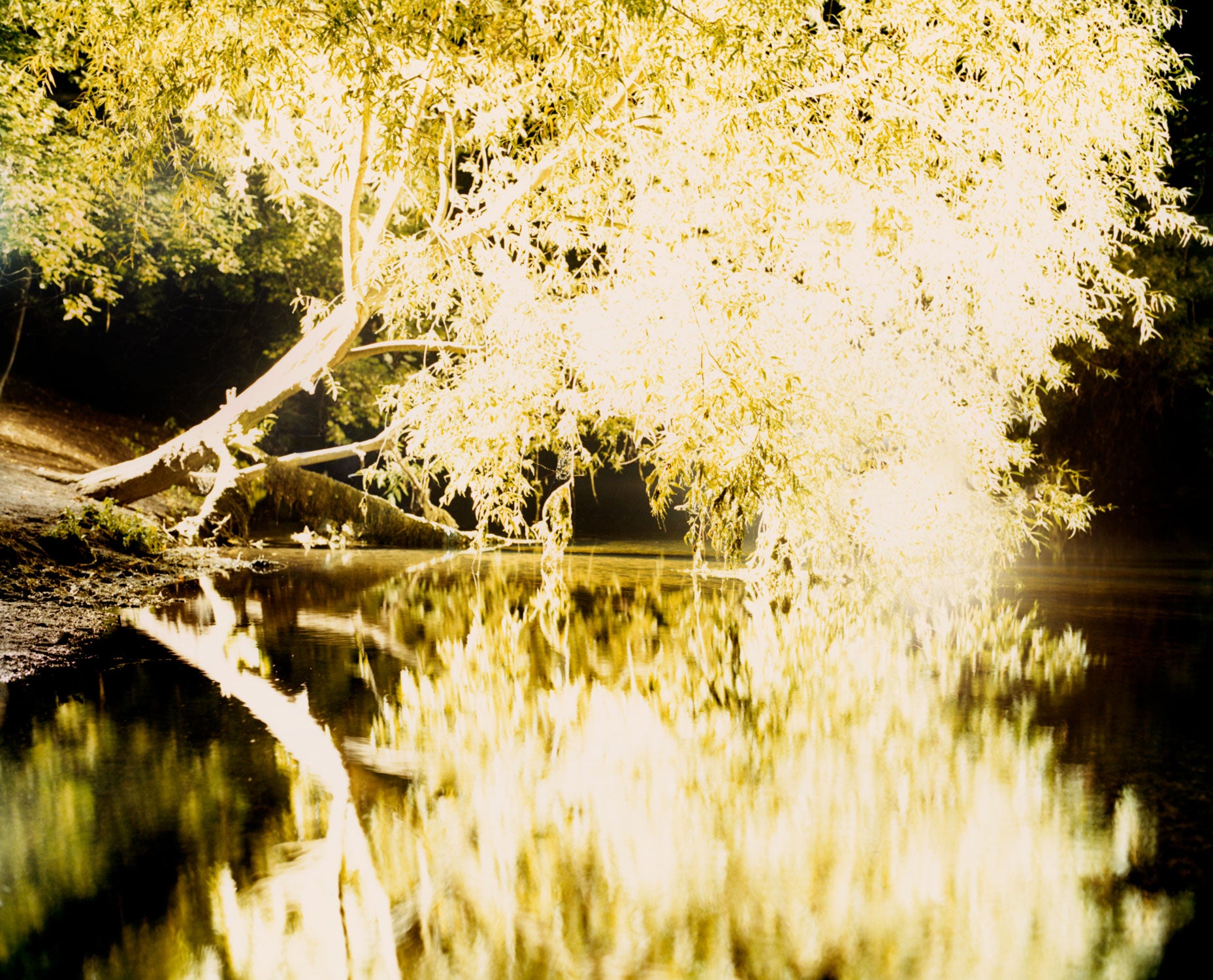 River Glow, 2017