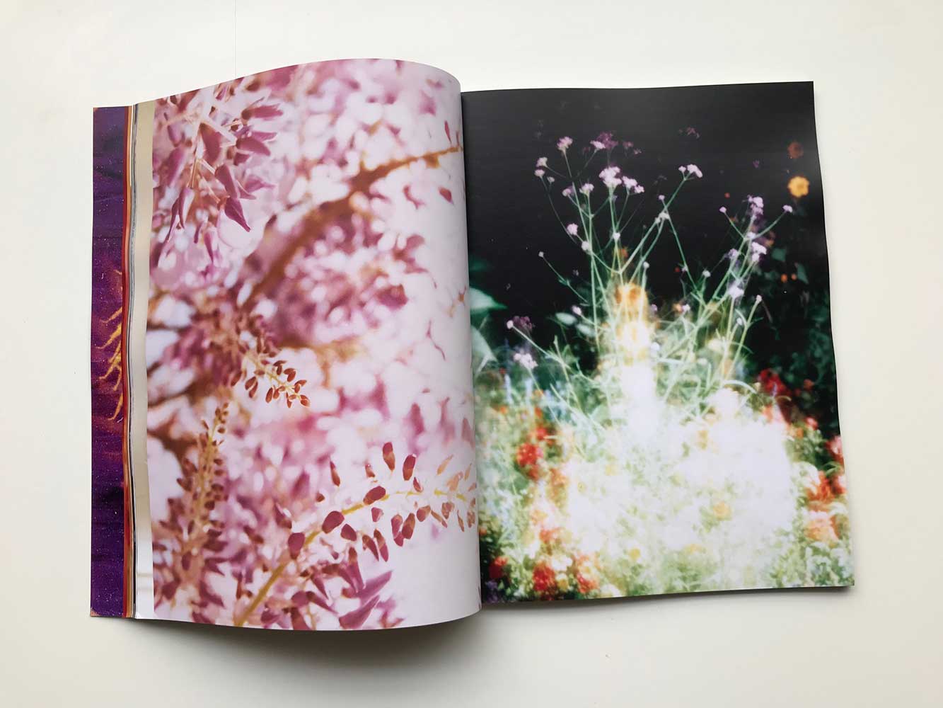 The Dream Meadow