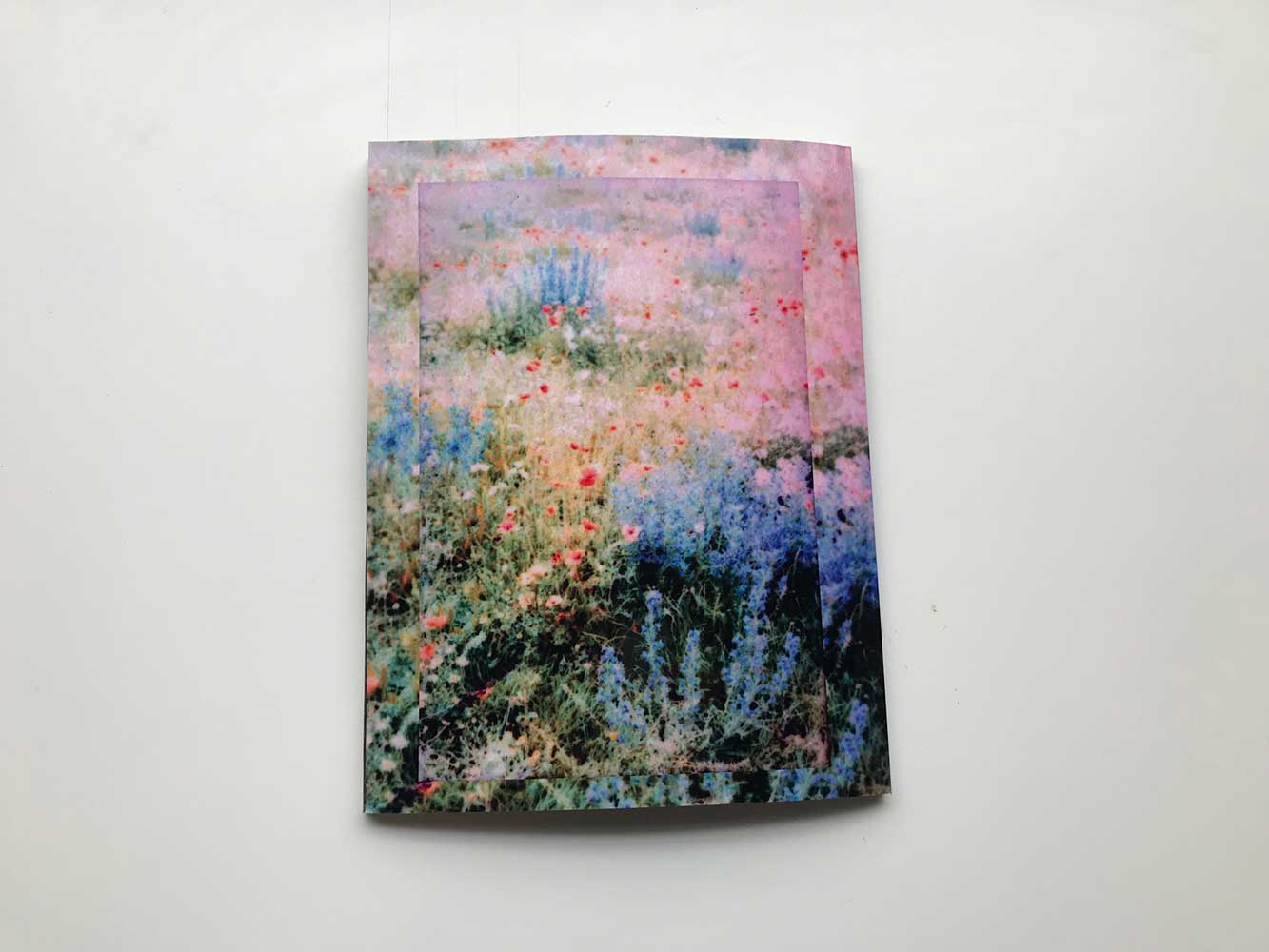 The Dream Meadow