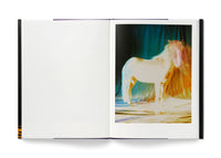 The Horses
