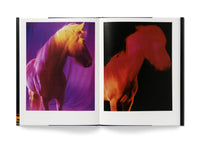 The Horses