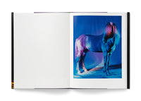The Horses