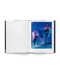 untitled XXVI, 2022 | The Horses