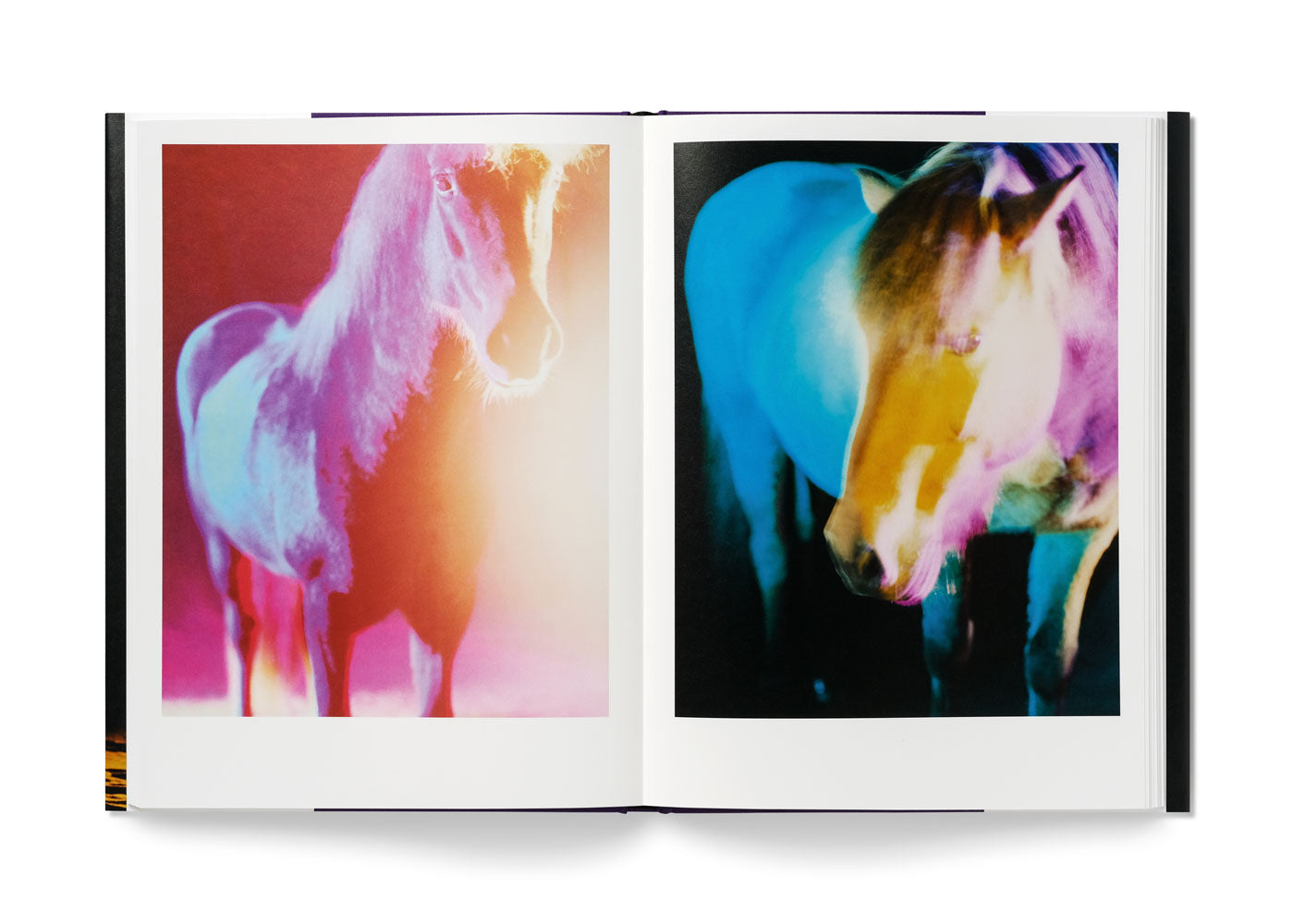 The Horses