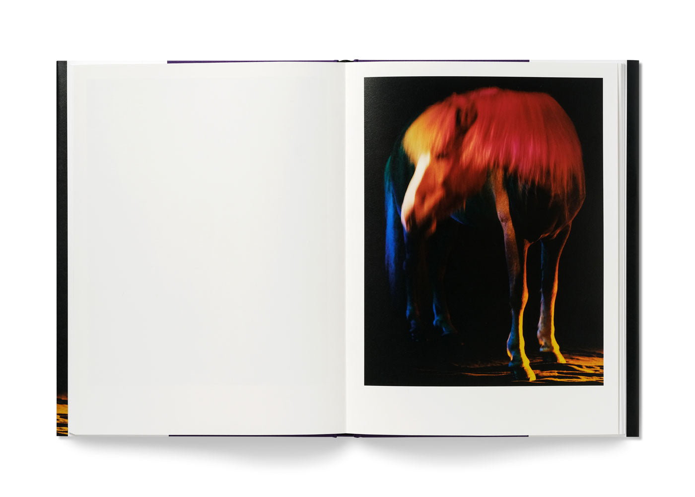 The Horses
