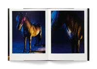 The Horses