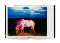 The Horses