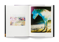The Horses
