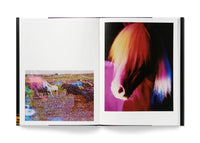 The Horses