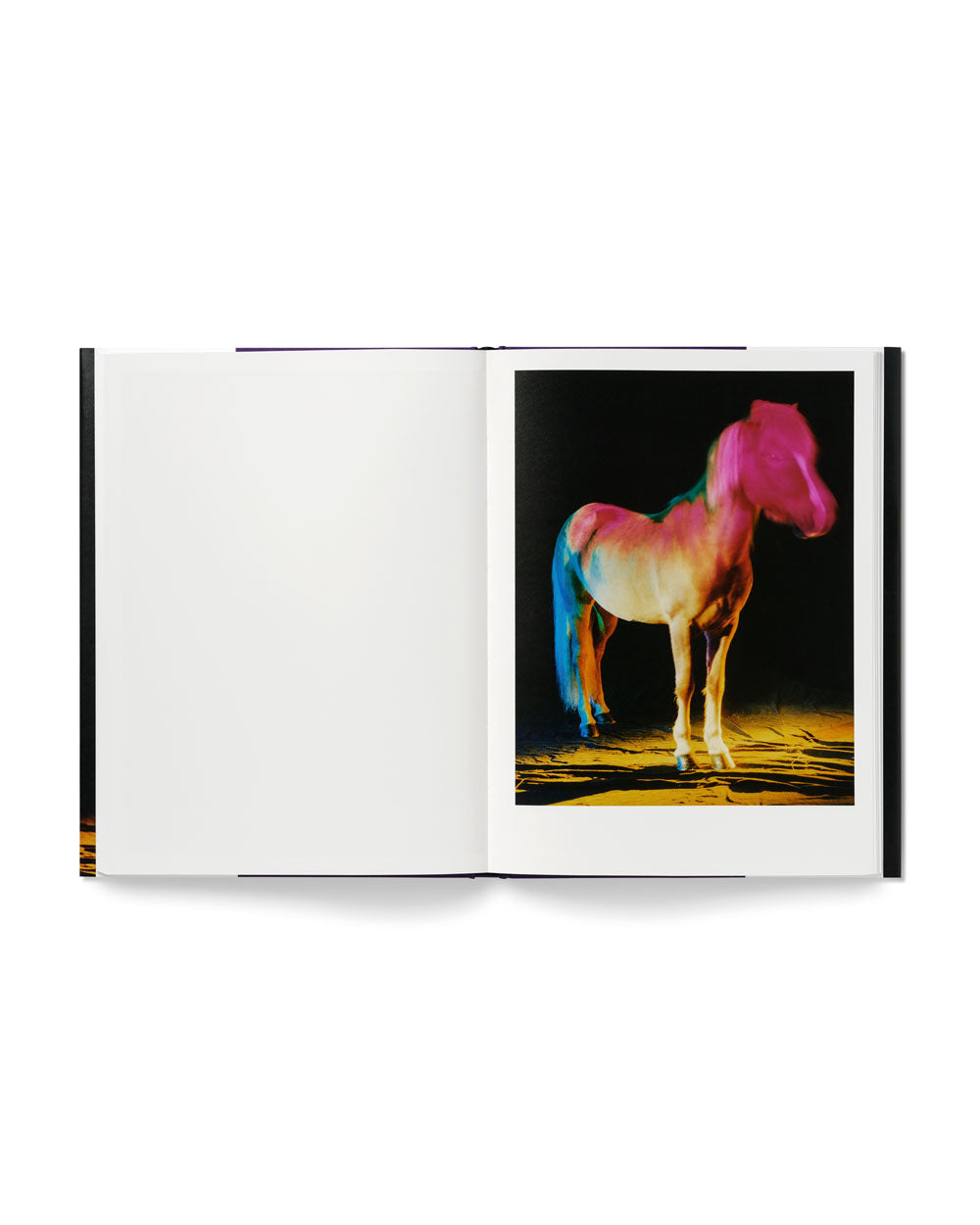 untitled XXII, 2022 | The Horses