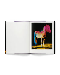 untitled XXII, 2022 | The Horses