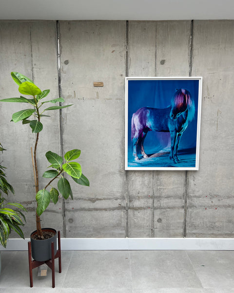 untitled XXVI, 2022 | The Horses