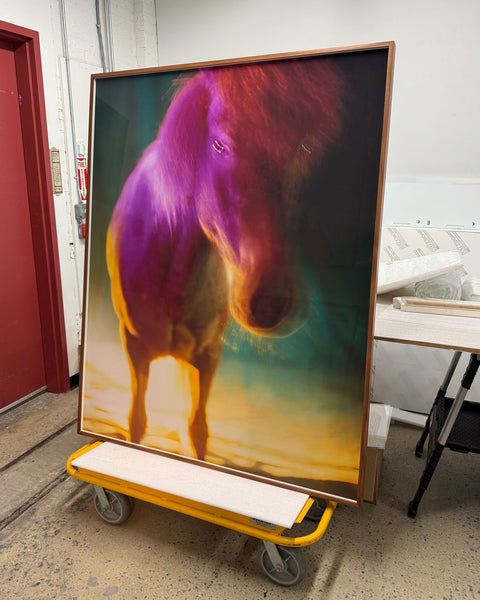 untitled IV | The Horses, 2022