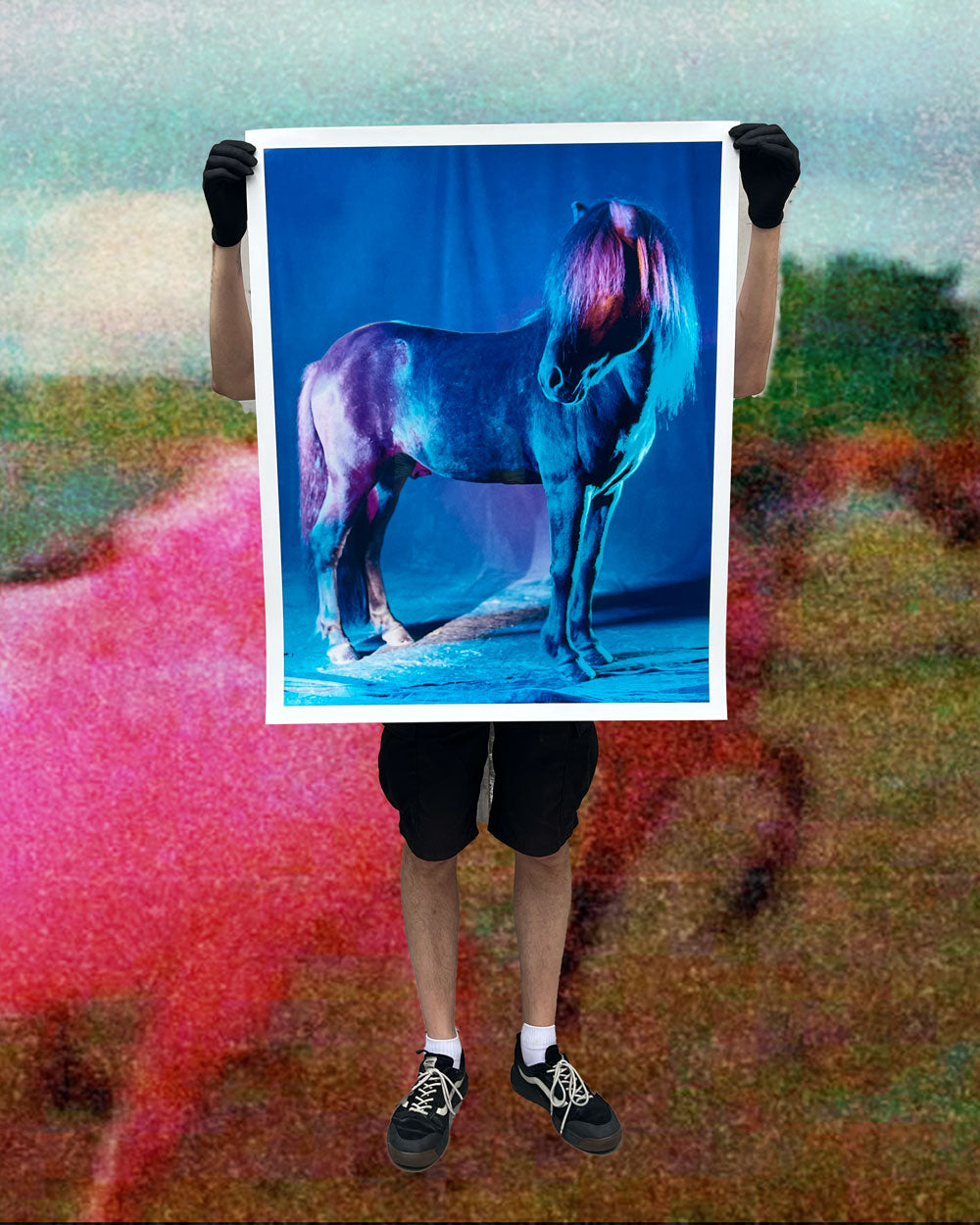 untitled XXVI, 2022 | The Horses