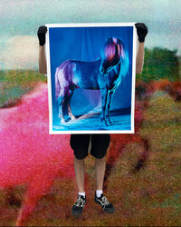 untitled XXVI, 2022 | The Horses
