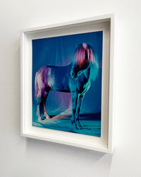 untitled XXVI, 2022 | The Horses