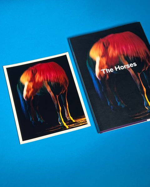 The Horses - Collectors Edition II with 10 x 8 inch limited edition print