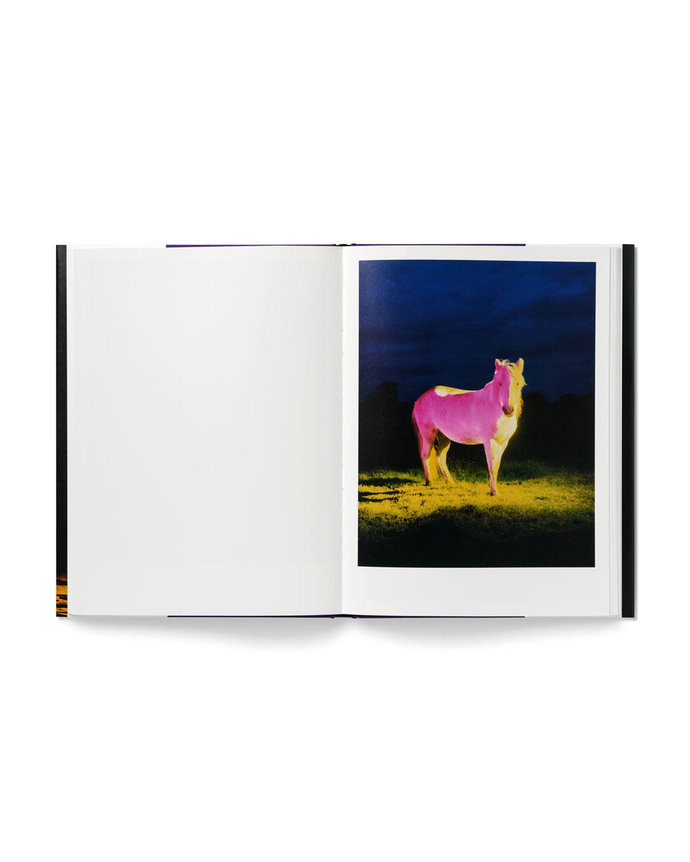 untitled XV, 2022 | The Horses