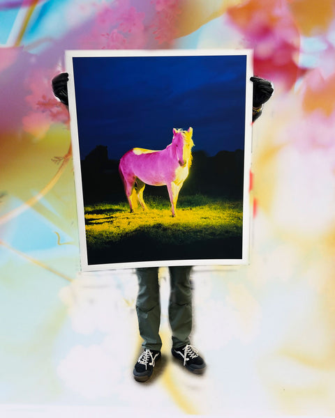 untitled XV, 2022 | The Horses
