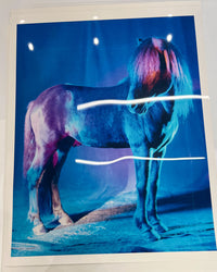 untitled XXVI, 2022 | The Horses
