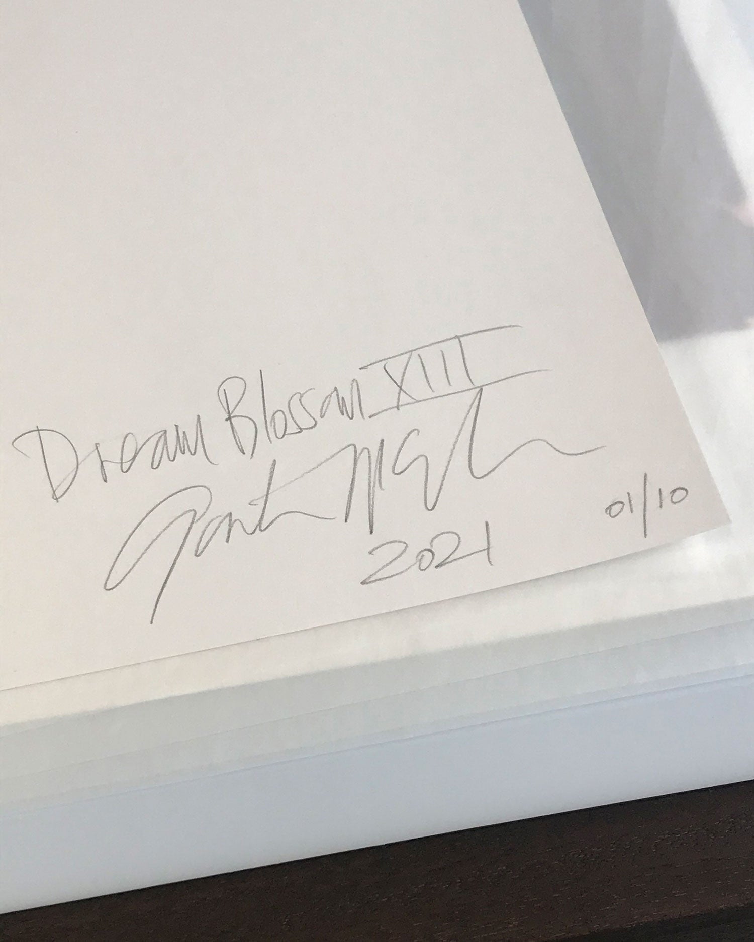 Dream Blossom XIII, 2021
