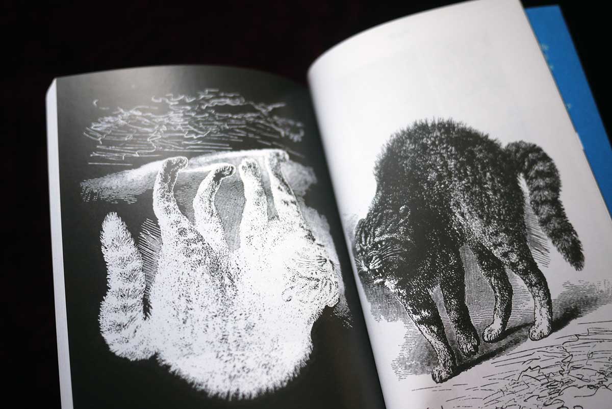A New Concise Reference Dictionary and Glossary of Usage Terms and Subjects in Contemporary Art
