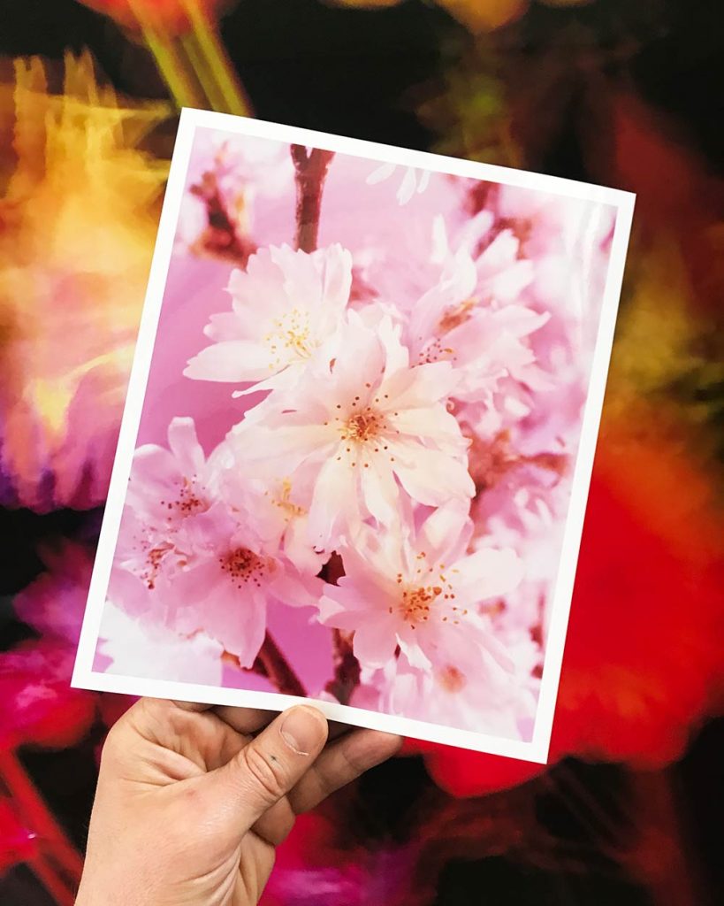 The Brighter The Flowers, The Fiercer The Town. Seen Fifteen